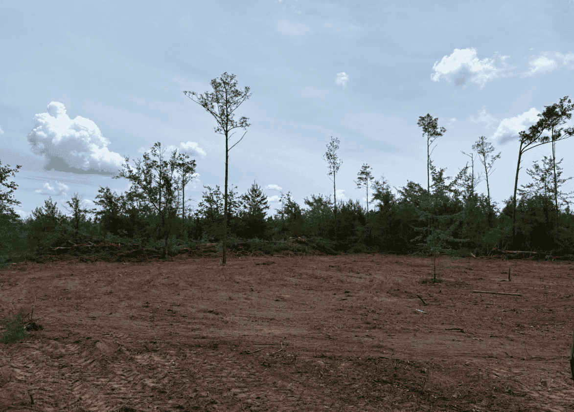 ssc image 127